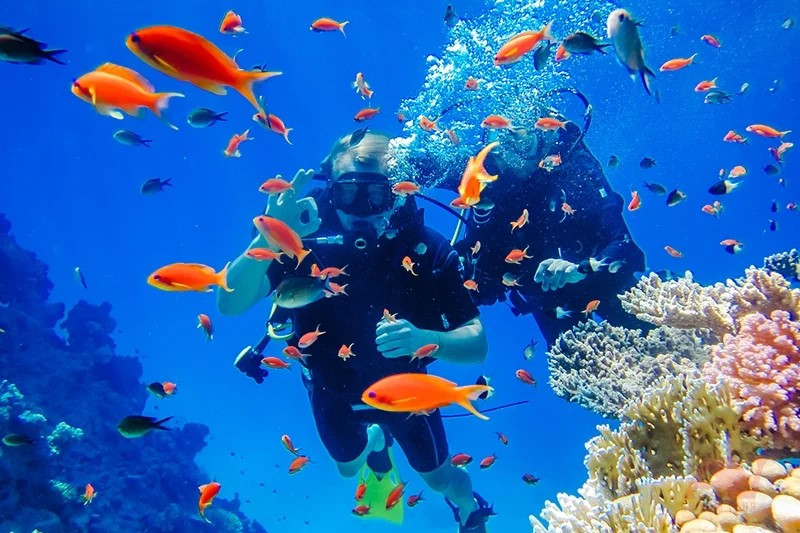 Click image for larger version  Name:	Scuba-diving-in-Nha-Trang.jpg Views:	0 Size:	161.5 KB ID:	1189