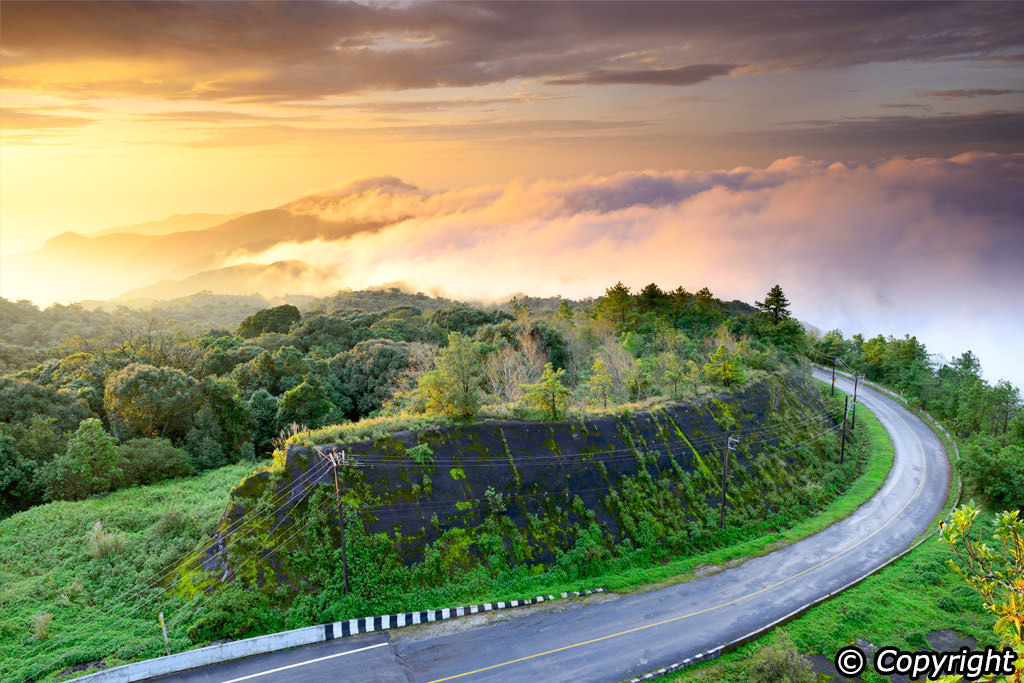 Click image for larger version  Name:	doi_inthanon_national_park.jpg Views:	0 Size:	248.3 KB ID:	6124