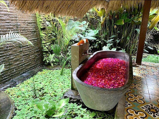 Click image for larger version  Name:	garden-flower-bath.jpg Views:	0 Size:	210.2 KB ID:	8040