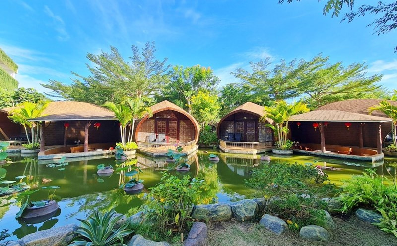Click image for larger version

Name:	vườn Cồn Sơn.jpg
Views:	7
Size:	180.6 KB
ID:	24898