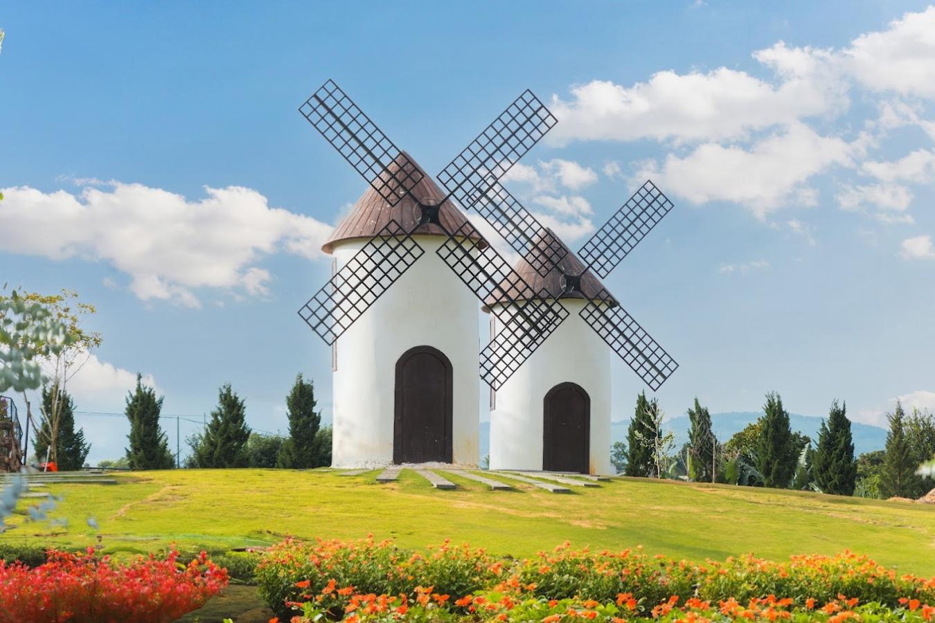 Click image for larger version

Name:	Mongo Land.jpg
Views:	13
Size:	154.8 KB
ID:	25756