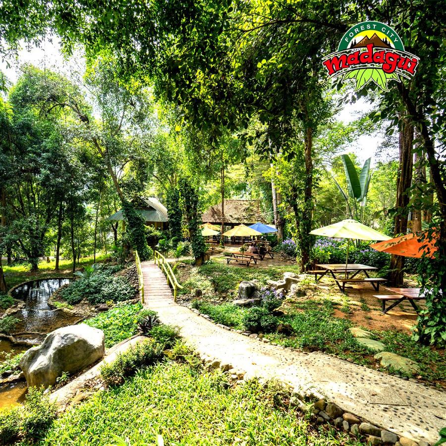 Click image for larger version

Name:	madagui2.jpg
Views:	16
Size:	329.5 KB
ID:	26315
