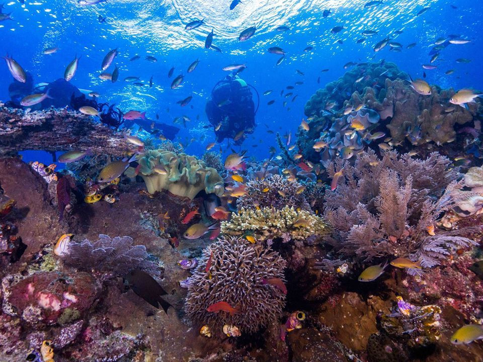 Click image for larger version

Name:	Dampier.jpg
Views:	4
Size:	318.8 KB
ID:	27068