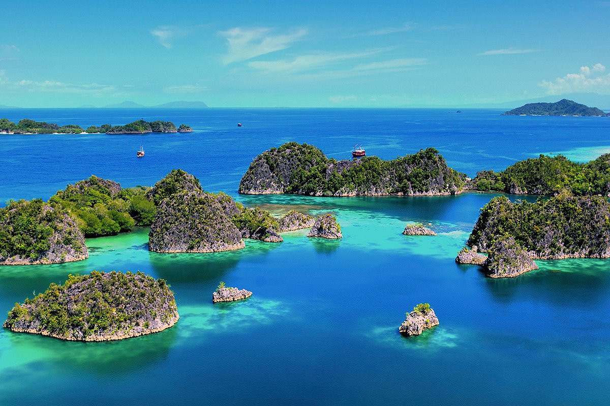 Click image for larger version

Name:	Piaynemo.jpg
Views:	6
Size:	359.0 KB
ID:	27070