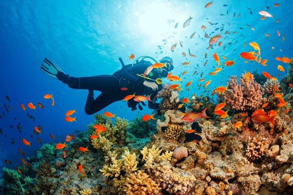 Click image for larger version

Name:	Raja Ampat3.jpg
Views:	5
Size:	240.0 KB
ID:	27077