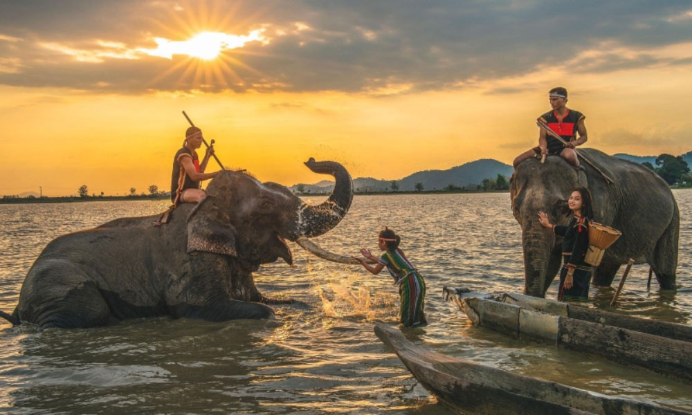 Click image for larger version

Name:	Buôn Đôn.jpg
Views:	9
Size:	153.9 KB
ID:	27276
