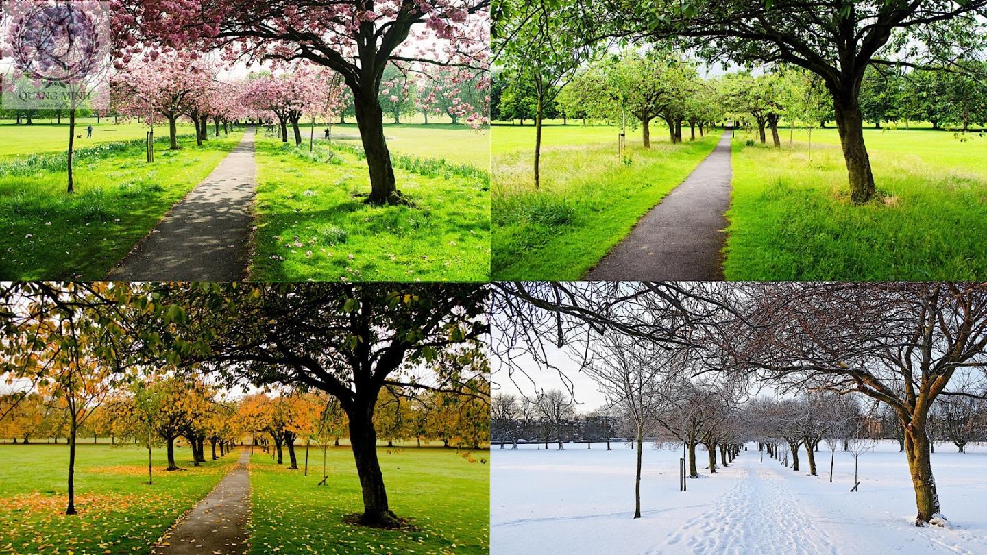 Click image for larger version  Name:	4-season2.jpg Views:	0 Size:	363.6 KB ID:	27686
