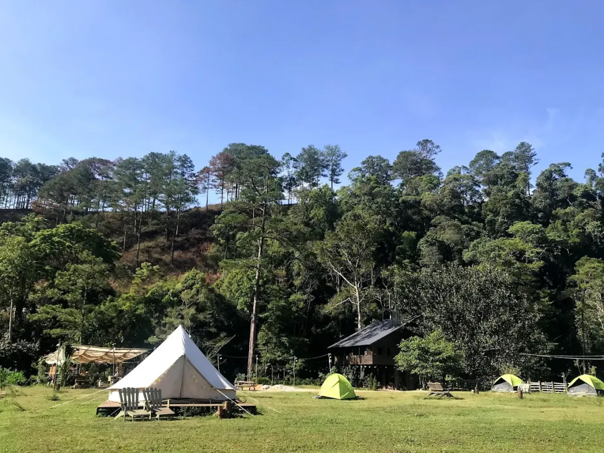 Click image for larger version

Name:	dalat-camp-3.webp
Views:	4
Size:	200.9 KB
ID:	29804