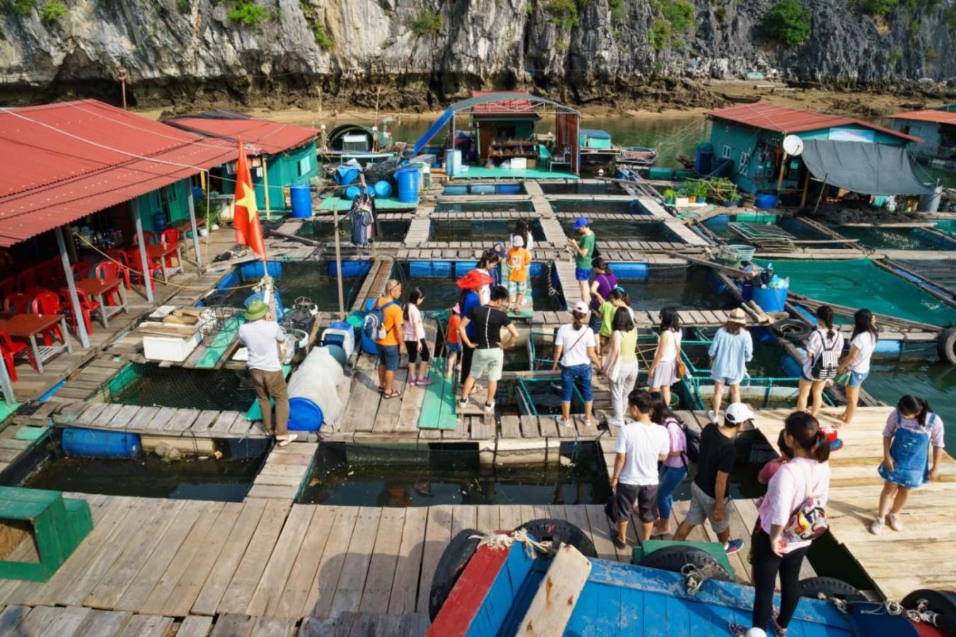Click image for larger version

Name:	Làng chài Cái Bèo.jpg
Views:	6
Size:	225.5 KB
ID:	30217