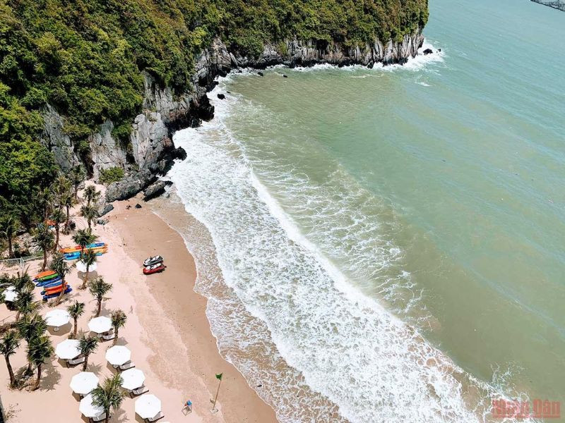 Click image for larger version

Name:	Bãi Cát Cò.jpg
Views:	4
Size:	202.1 KB
ID:	30218