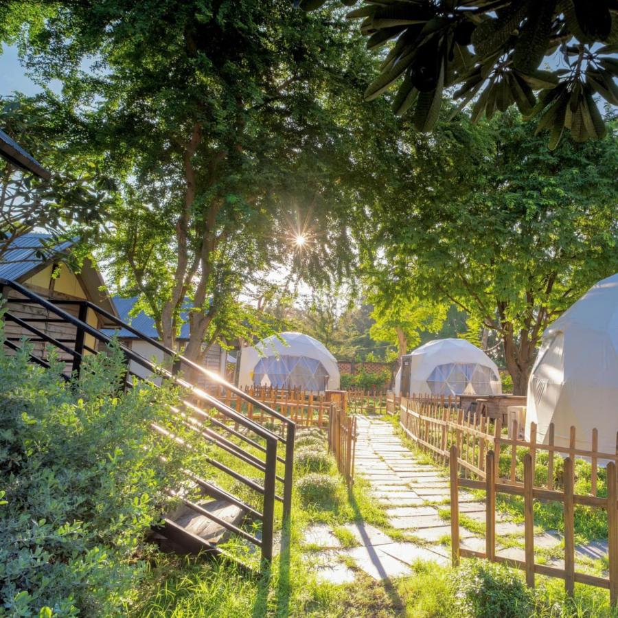 Click image for larger version

Name:	camp-4.jpg
Views:	5
Size:	201.6 KB
ID:	30653