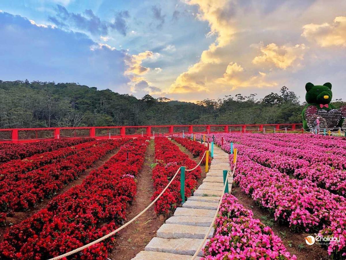 Click image for larger version

Name:	10-ly-do-ban-nen-du-lich-da-lat-mot-lan-trong-doi-2-scaled.jpg
Views:	0
Size:	227.7 KB
ID:	31387