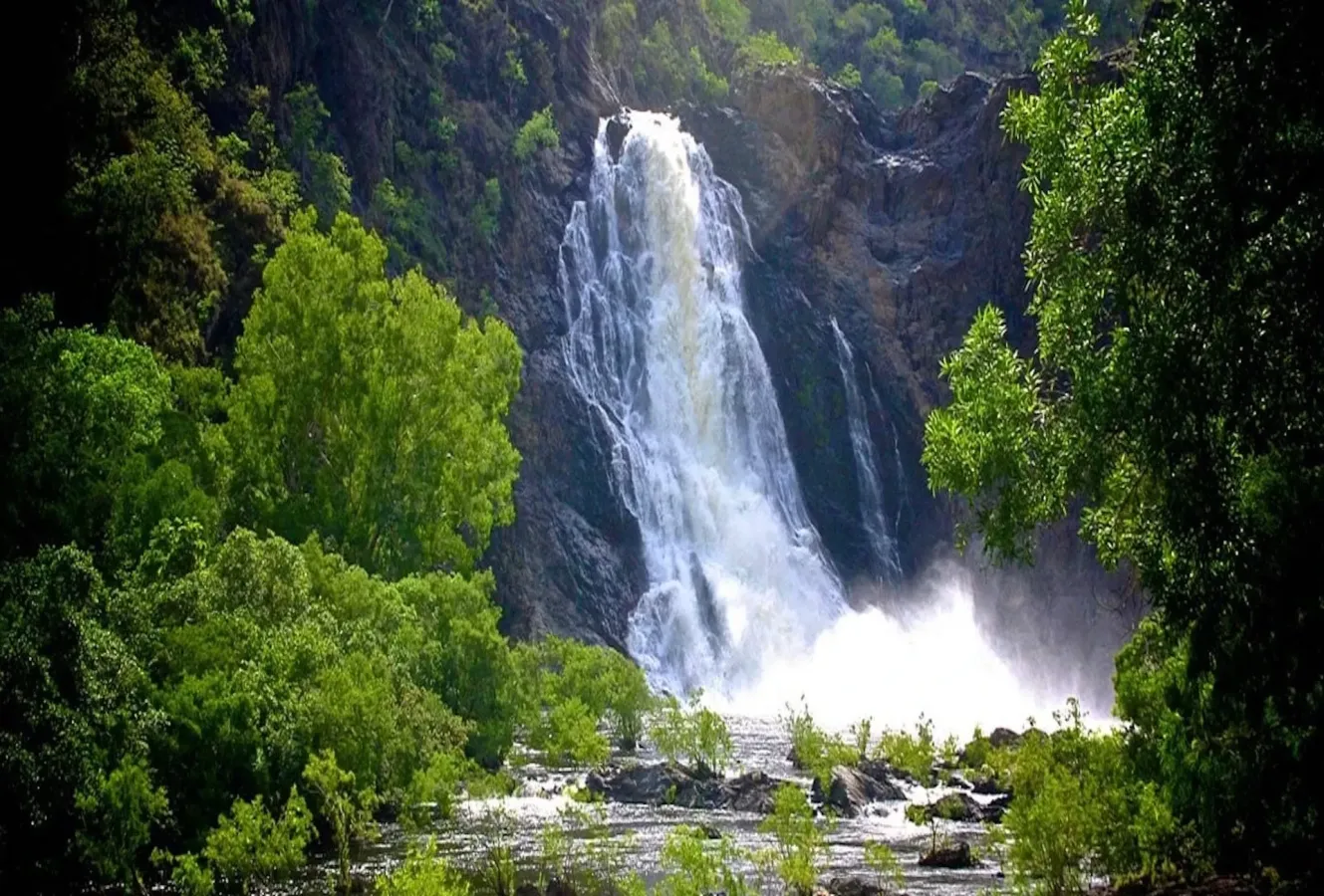 Click image for larger version

Name:	daintree_landscape.webp
Views:	0
Size:	194.5 KB
ID:	31467