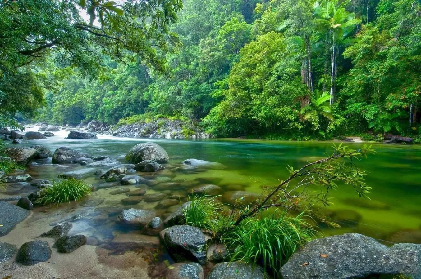 Click image for larger version

Name:	5abdeb628c44ffa14993433d_1523413512038_Mossman_Gorge.webp
Views:	0
Size:	288.3 KB
ID:	31470