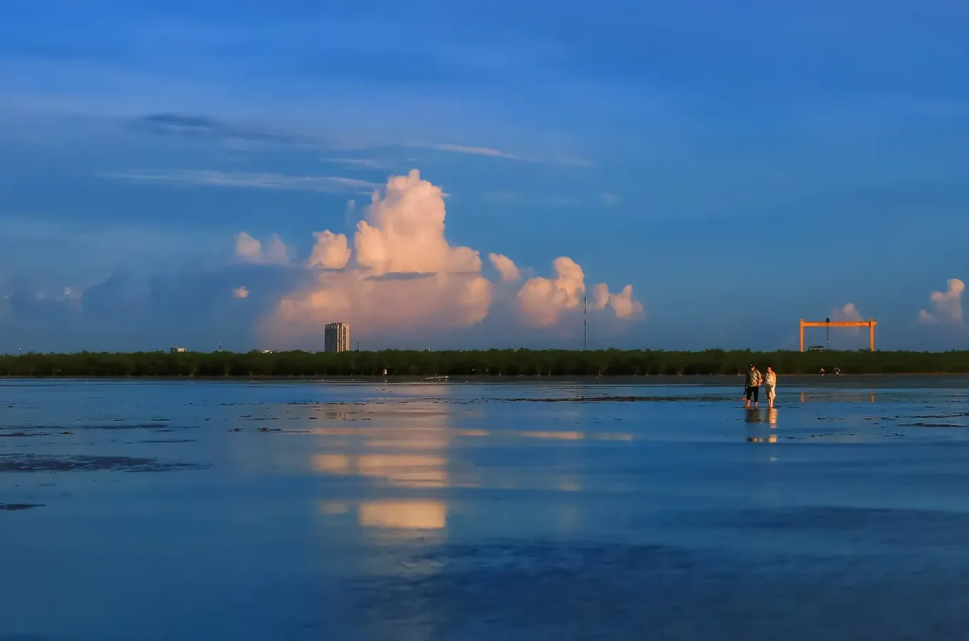 Click image for larger version

Name:	binh_minh_bien_vo_cuc_3_.webp
Views:	3
Size:	31.4 KB
ID:	31544
