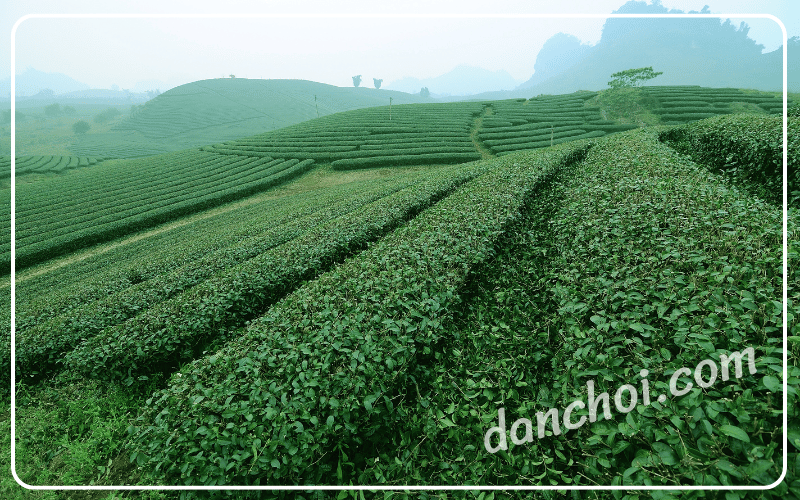 đi đâu du lịch tháng 8 ở miền bắc