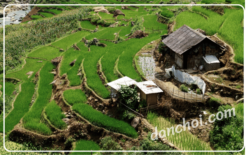 tháng 8 đi đâu chơi ở miền bắc