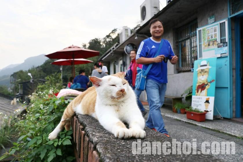 Click image for larger version

Name:	20180301_mag_la-taiwan-cat-1114.jpg
Views:	4
Size:	118.9 KB
ID:	32152
