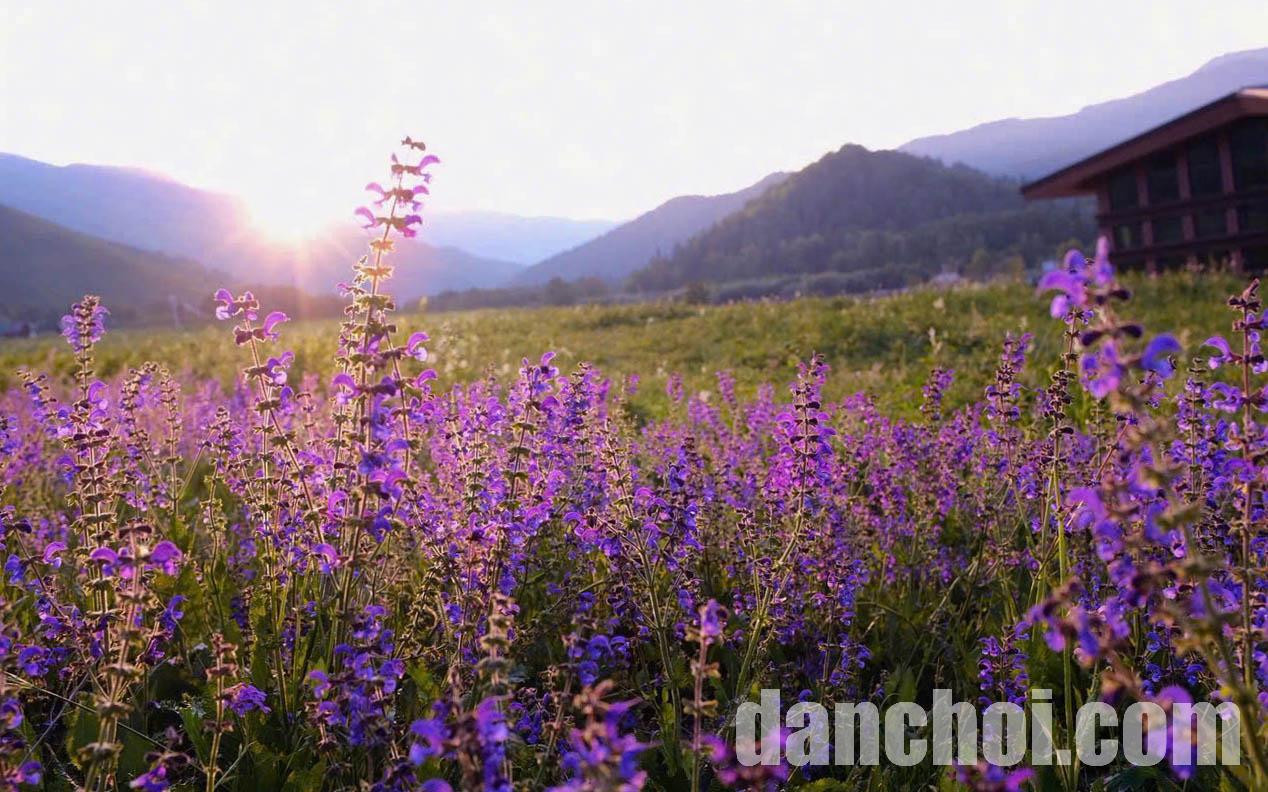 Click image for larger version

Name:	tan-cuong-4.jpg
Views:	3
Size:	310.0 KB
ID:	32162