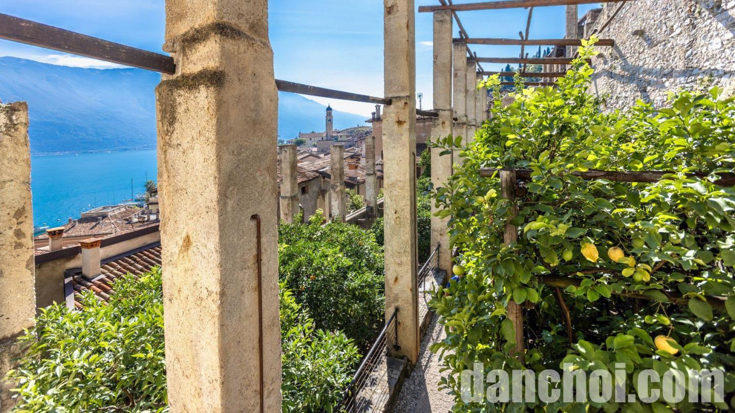 Click image for larger version

Name:	limonaia-del-castel-23-2040.jpg
Views:	10
Size:	294.8 KB
ID:	32489