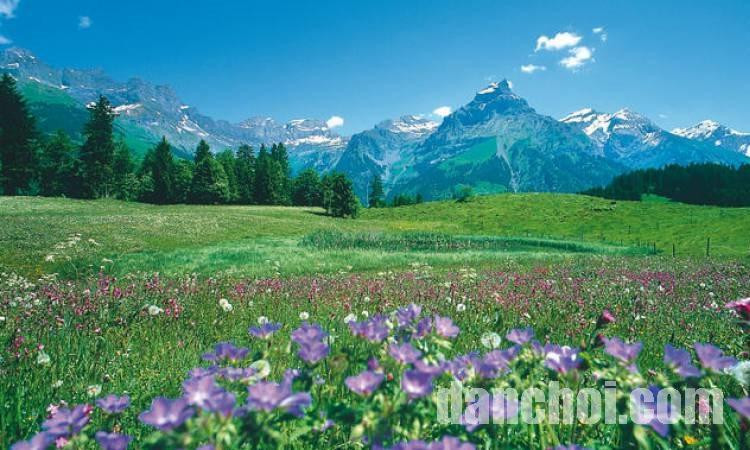 Click image for larger version  Name:	thi-tran-engelberg-4.jpg Views:	0 Size:	123.5 KB ID:	32510