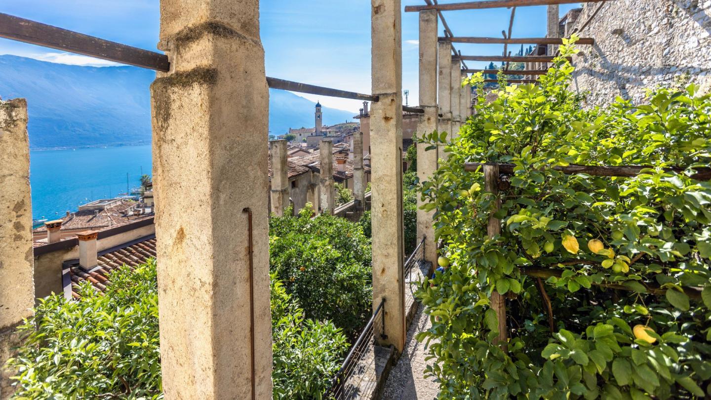 Click image for larger version

Name:	limonaia-del-castel-23-2040.jpg
Views:	7
Size:	285.1 KB
ID:	32571