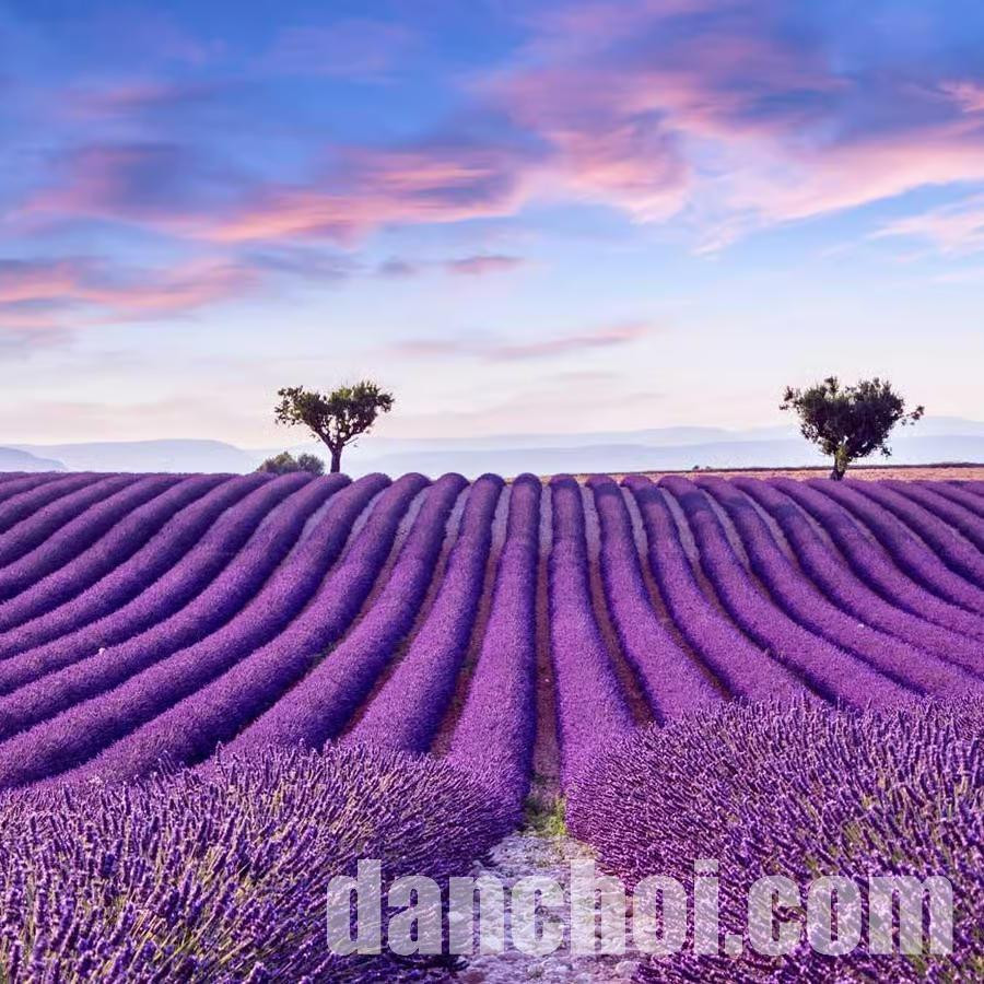 Click image for larger version

Name:	e90856c078b1f46b0cd04075e0e7bb1670d06b0fbf0388bb8b9280db988117b8.jpg
Views:	3
Size:	246.4 KB
ID:	32615