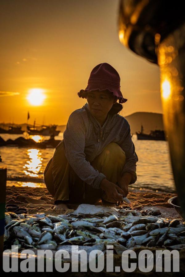 Click image for larger version

Name:	lang-chai-an-hai-7-1024x1536.jpg
Views:	2
Size:	67.8 KB
ID:	32649