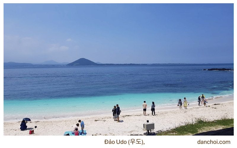 đảo udo