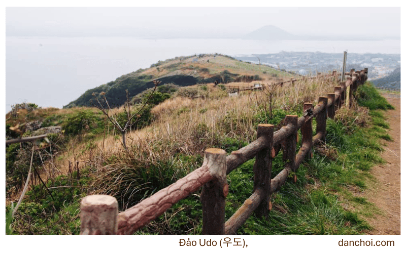 đảo udo