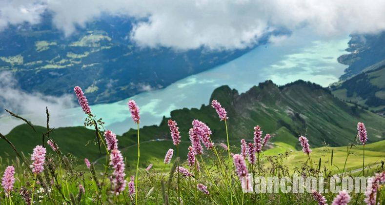 Click image for larger version  Name:	thuy-si-8-789x420.jpg Views:	0 Size:	111.8 KB ID:	33121