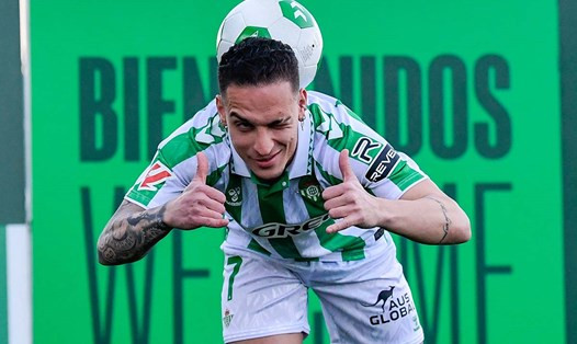 Click image for larger version

Name:	Antony-Betis.jpg
Views:	10
Size:	54.0 KB
ID:	33404