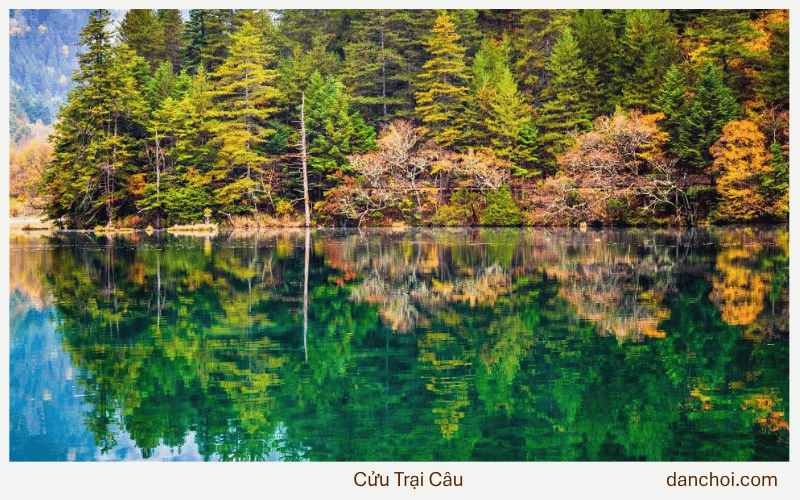 cửu trại câu