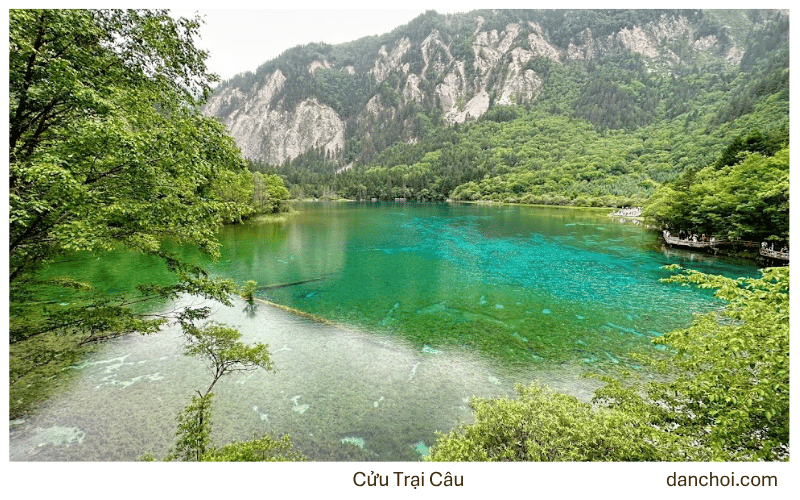 cửu trại câu