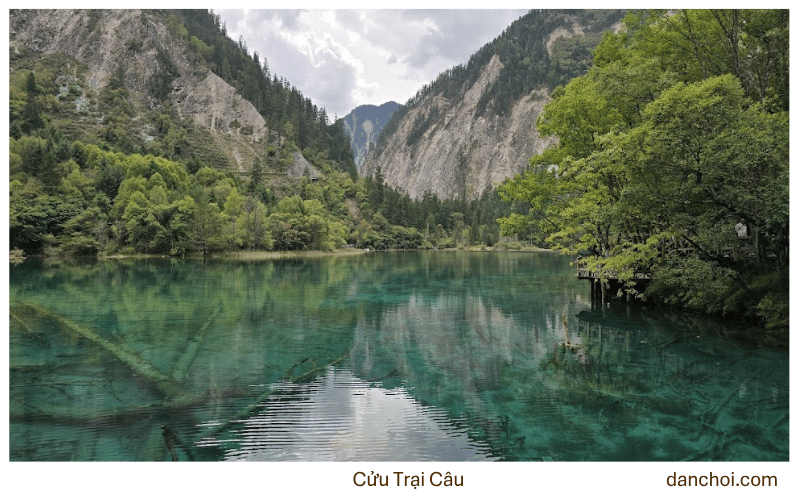 cửu trại câu