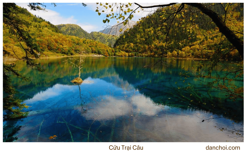 cửu trại câu