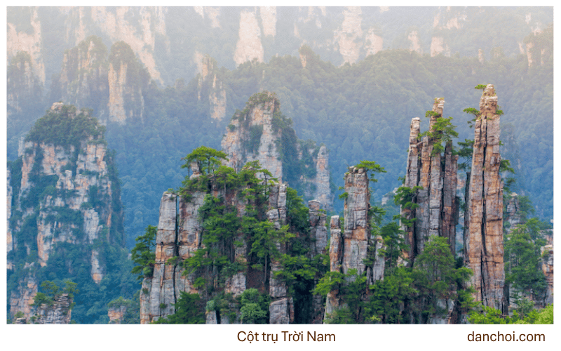 Trương gia giới