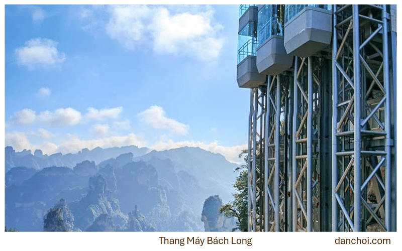 Trương gia giới