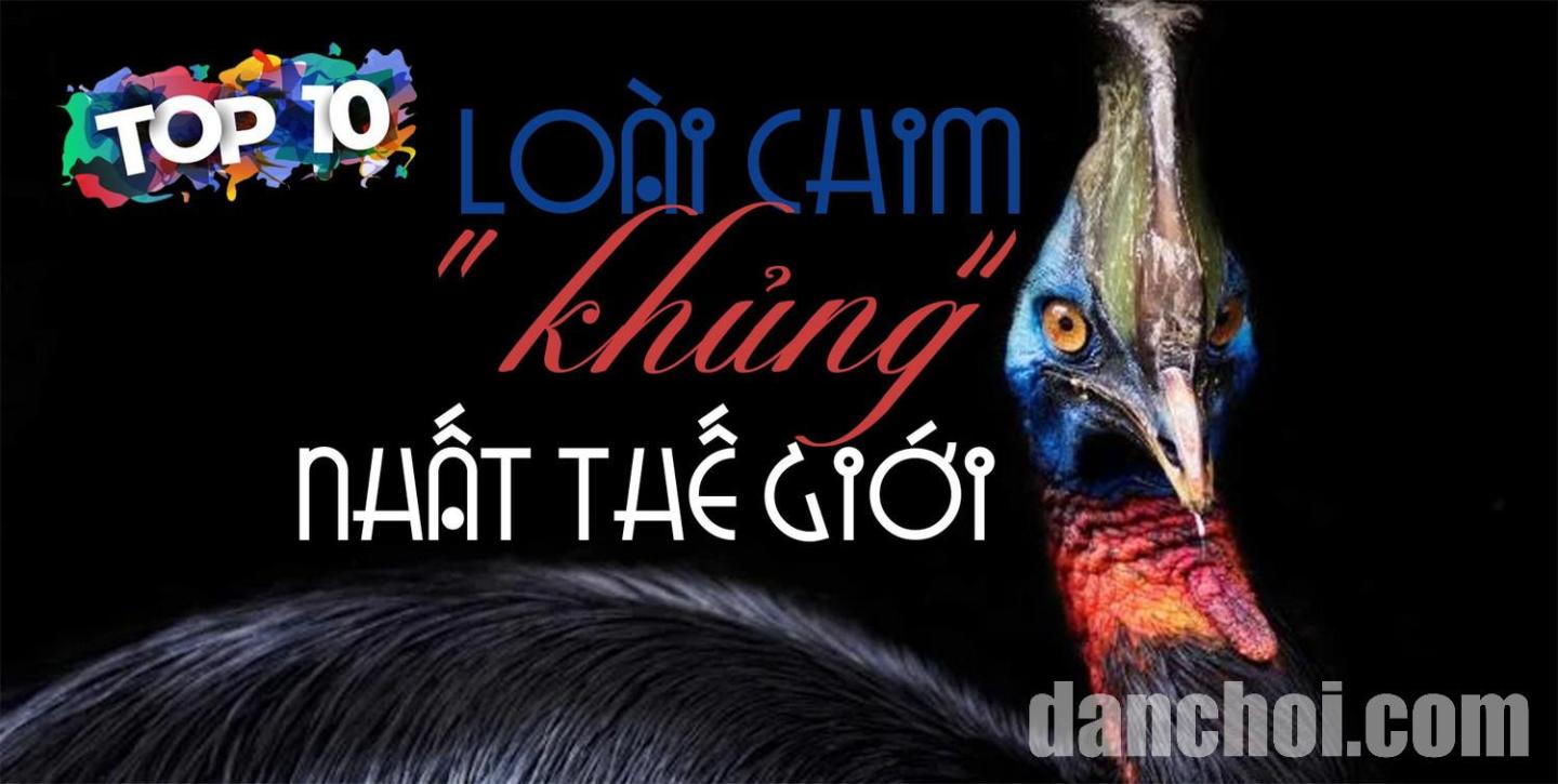 Click image for larger version

Name:	image.jpg
Views:	6
Size:	100.2 KB
ID:	33430