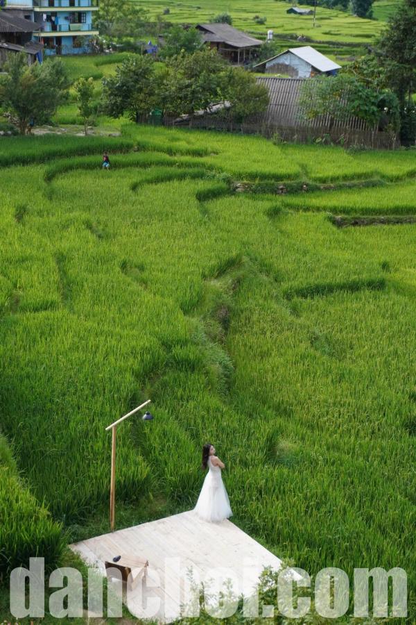Click image for larger version

Name:	ca_phe_ruong_lua5.jpg
Views:	4
Size:	118.0 KB
ID:	33663