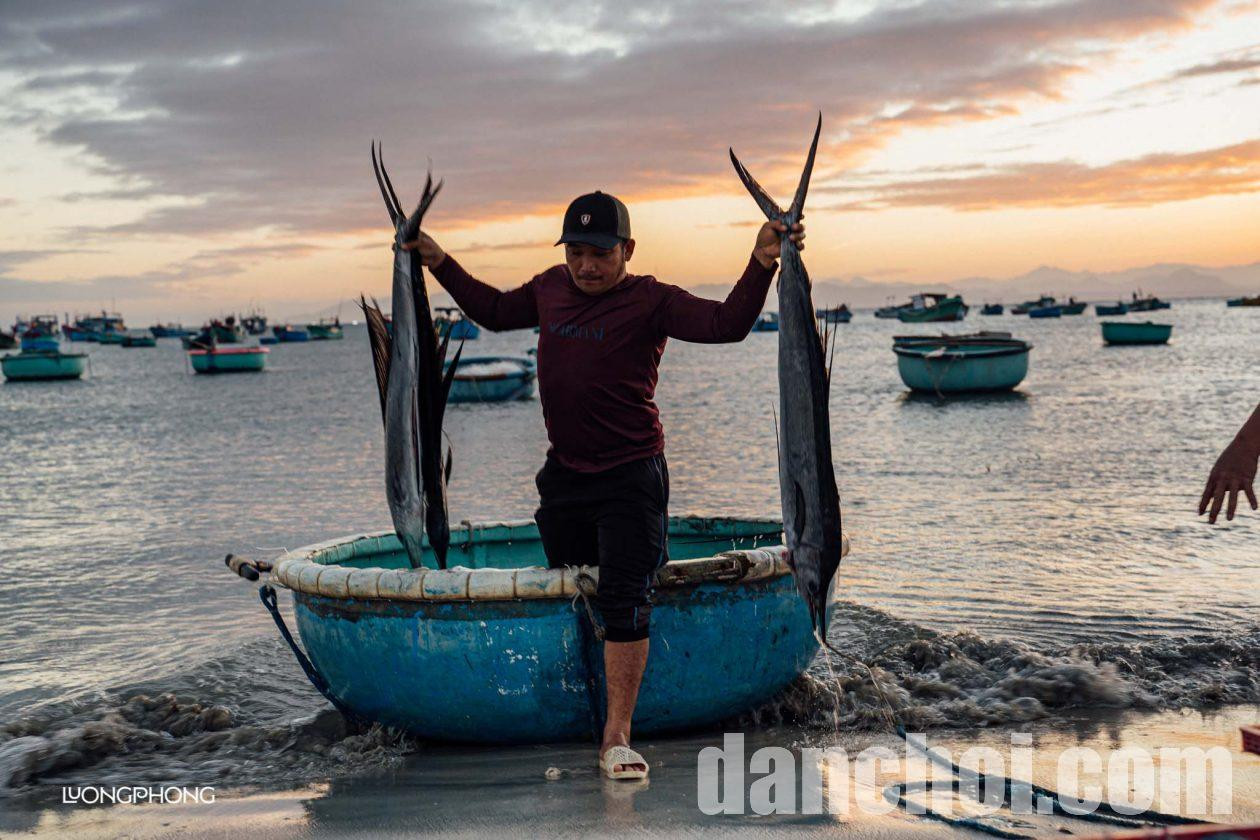 Click image for larger version

Name:	NINH-THUAN-MY-HIEP-3-1260x840.jpg
Views:	3
Size:	263.1 KB
ID:	34098