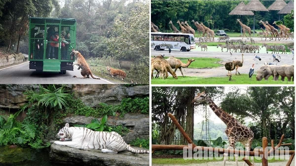 Click image for larger version

Name:	An-gi-khi-di-tham-quan-khu-vuon-khu-Vinpearl-Safari-Phu-Quoc-20-1617439728.jpg
Views:	2
Size:	302.3 KB
ID:	34277
