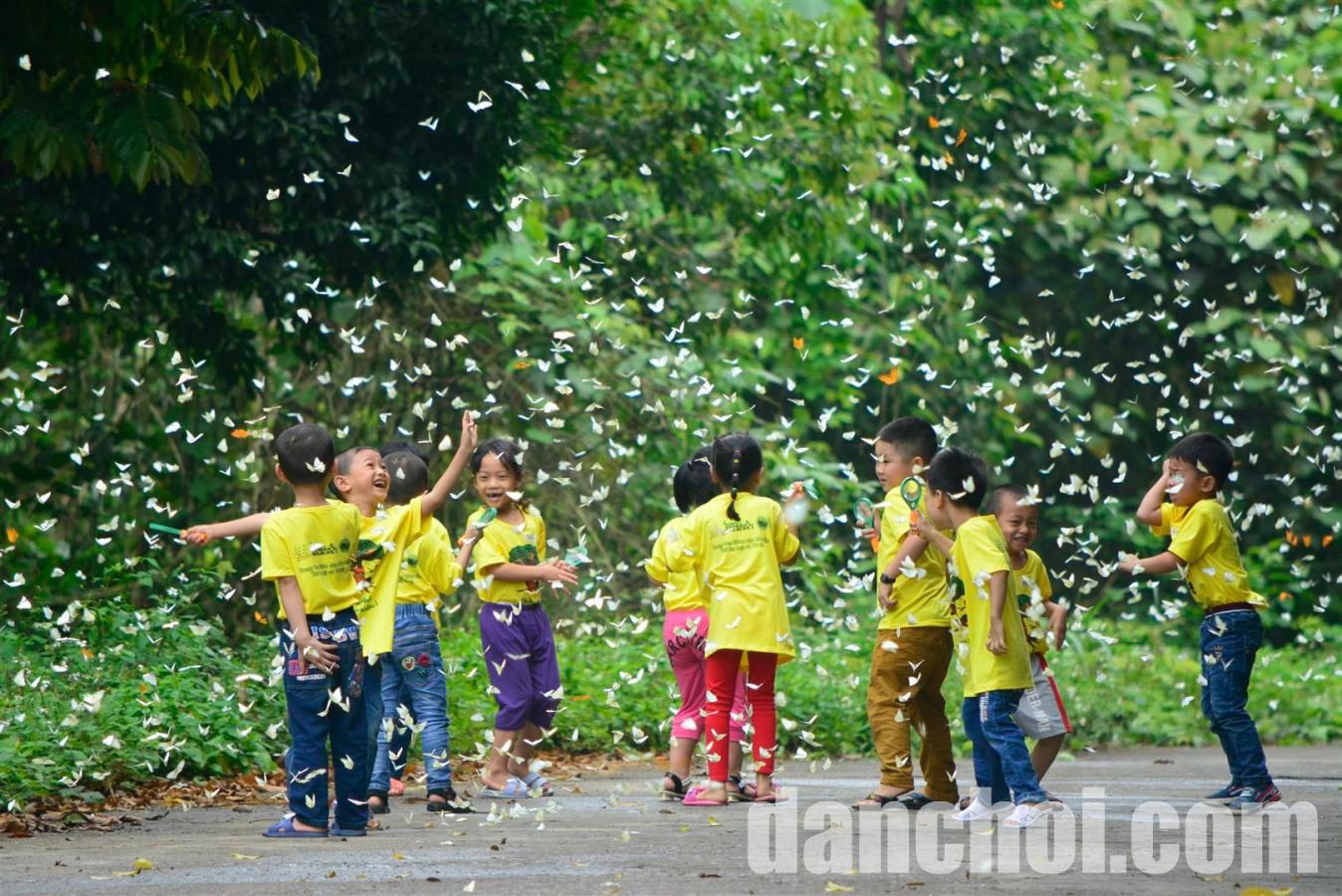 Click image for larger version

Name:	1755419628-anhbuom_tuothoxanh.jpg
Views:	3
Size:	227.4 KB
ID:	34845