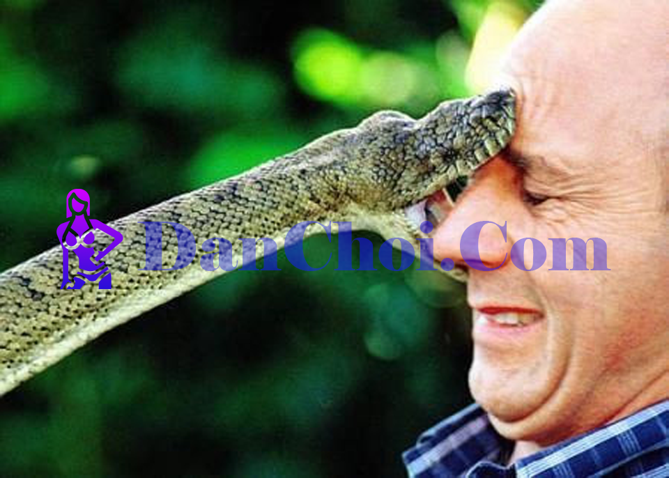 Chiến lược săn lô từ giấc mơ “mưa tiền” điềm báo may mắn cực chuẩn 💰