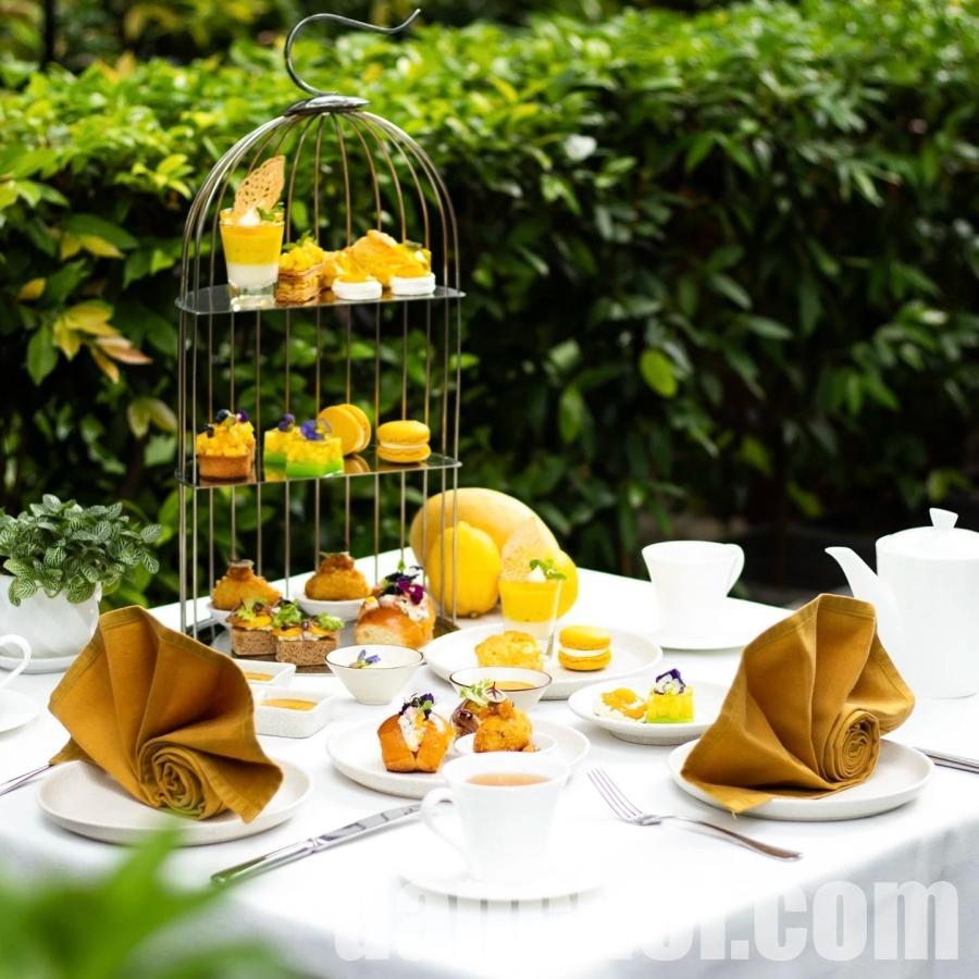 Click image for larger version

Name:	2025_The_Anam_Cam_Ranh_Afternoon_Tea_003.jpg
Views:	7
Size:	105.0 KB
ID:	35445