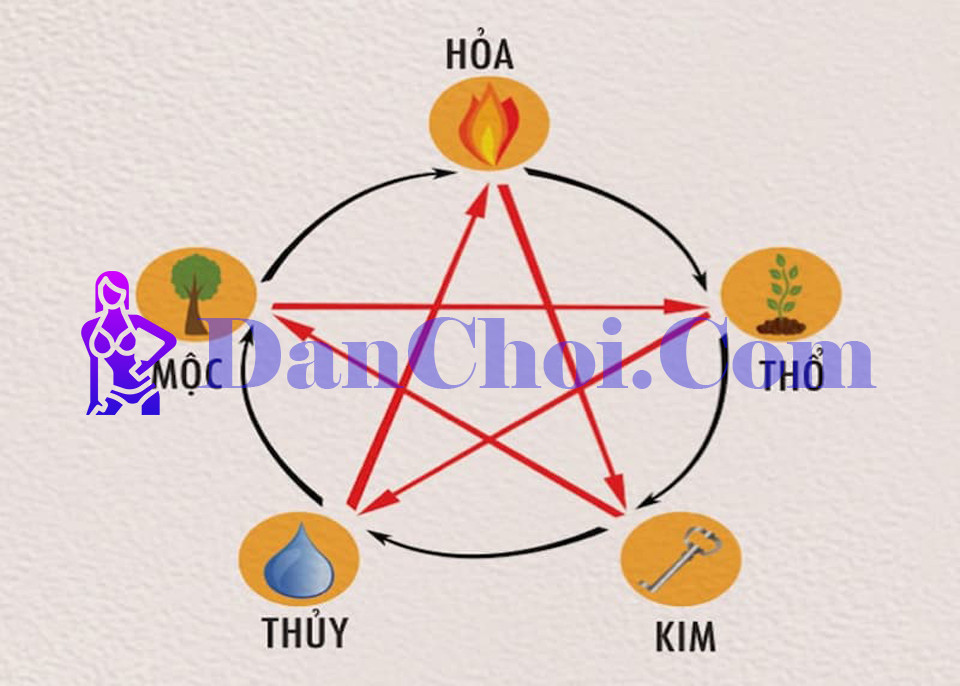 Lý do được ưa chuộng