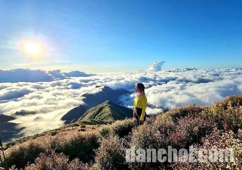 Click image for larger version  Name:	ta-chi-nhu.jpg Views:	0 Size:	153.8 KB ID:	36026