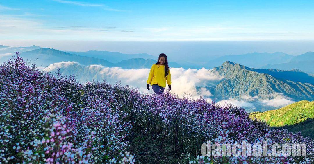 Click image for larger version  Name:	Tà-Chì-Nhù-ivivu-10-@ly_phuongthanh.jpg Views:	0 Size:	257.9 KB ID:	36031