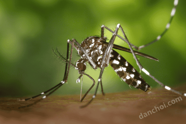 Click image for larger version

Name:	danchoi.com (7).png
Views:	10
Size:	76.3 KB
ID:	36110