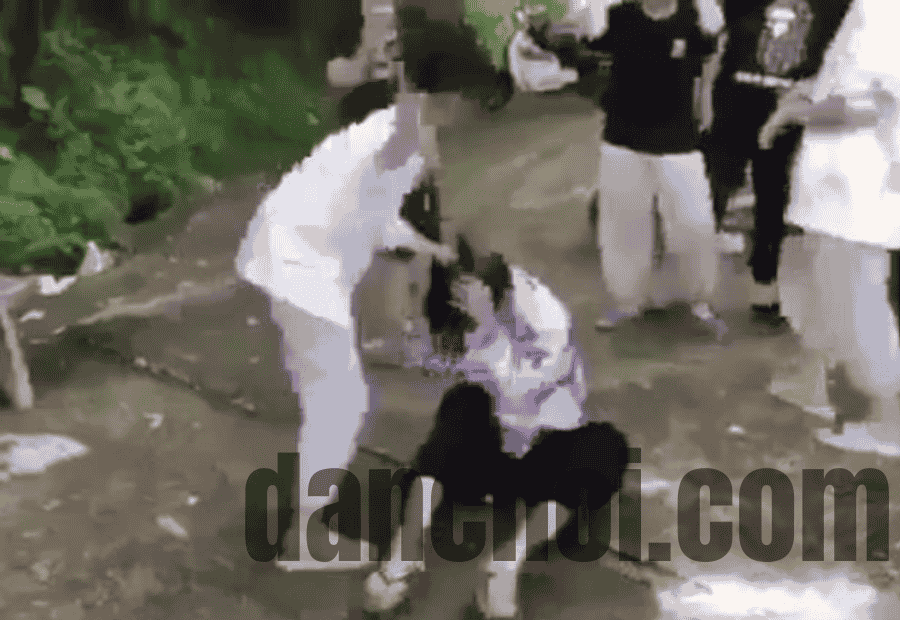 Click image for larger version

Name:	danchoi.com (21).png
Views:	12
Size:	114.0 KB
ID:	37212